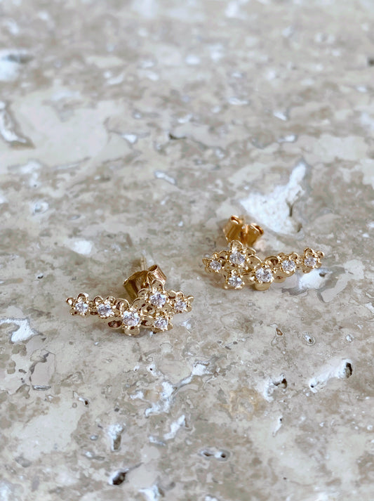 Boucles d'Oreilles Bouquet - Joia Bijou